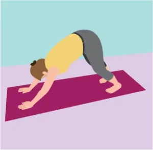 حرکت سگ سر پایین (Downward Facing Dog)